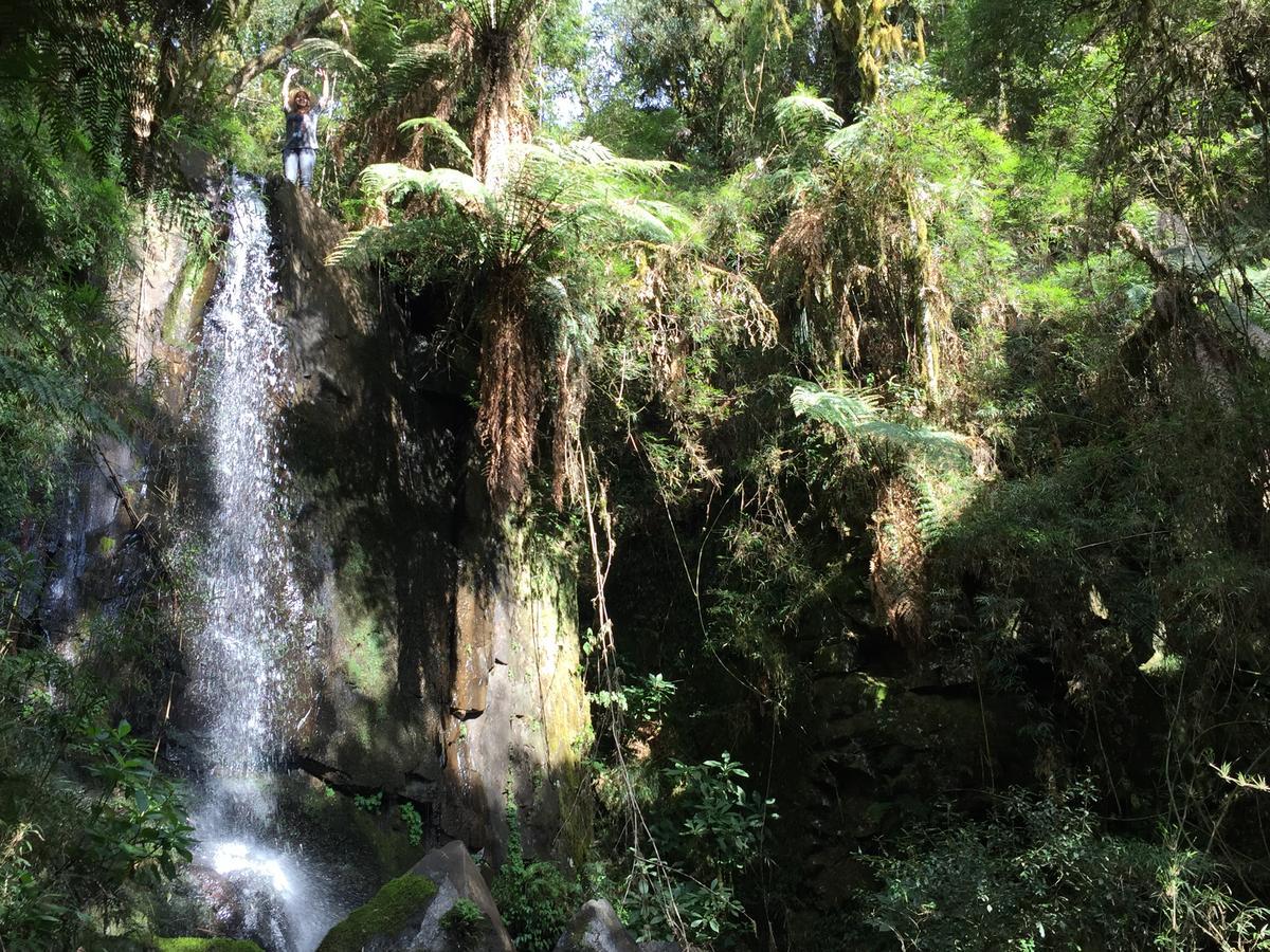 Fazenda Morro Das Torres Urupema Luaran gambar