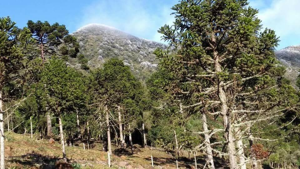 Fazenda Morro Das Torres Urupema Luaran gambar