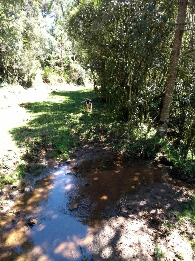 Fazenda Morro Das Torres Urupema Luaran gambar